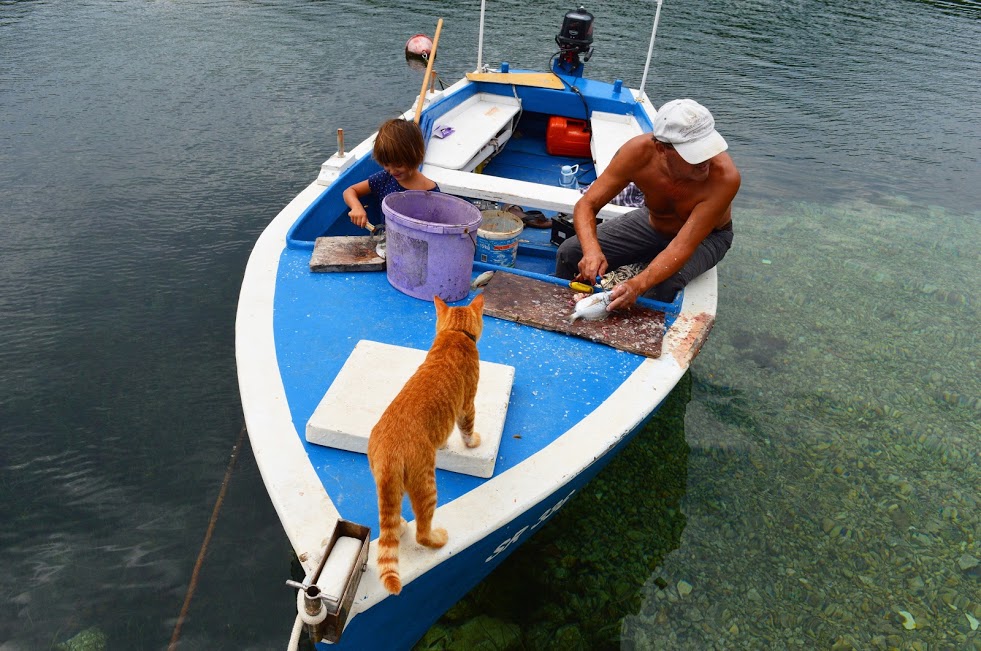 Early morning fishing in small village Soline, Mljet.
